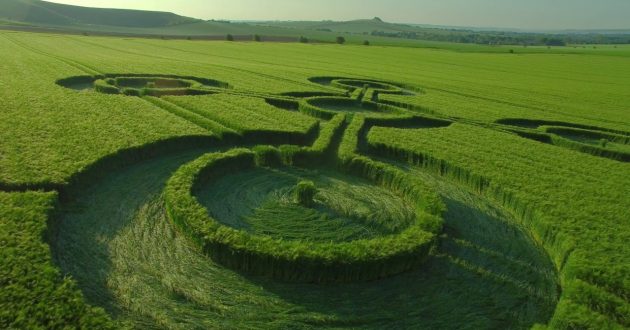 Crop circles have been appearing around the world for centuries
