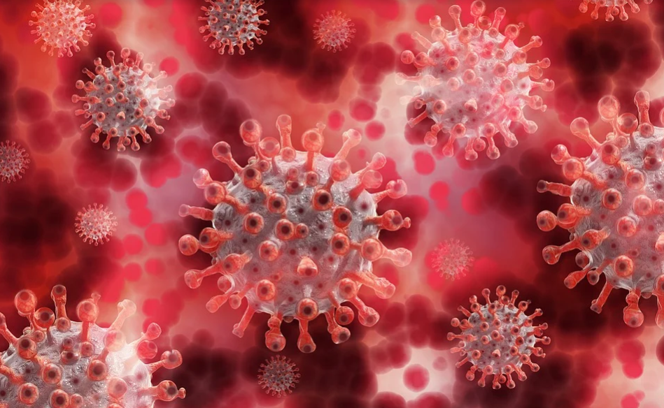 Immunity booster foods to fight the coronavirus